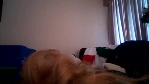 abdgg83476 online show from 15, 1, 2025