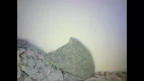 GoldenFish online show from 22, 2, 2025