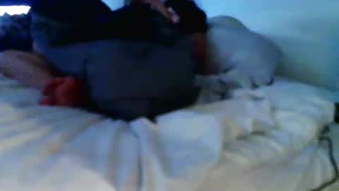 aboodha online show from 28, 2, 2026