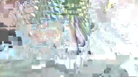 acexx8124 online show from 23, 2, 2026