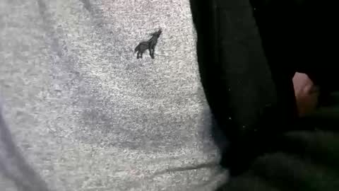 adarkvid420tj online show from 18, 2, 2026