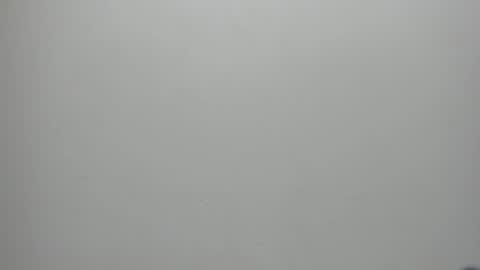 adbel sady online show from 17, 1, 2025