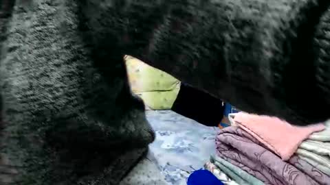 Larisa online show from 15, 11, 2025