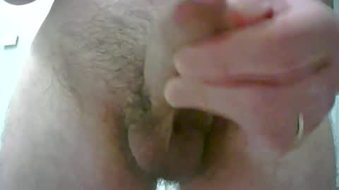 adi2019 online show from 24, 11, 2025