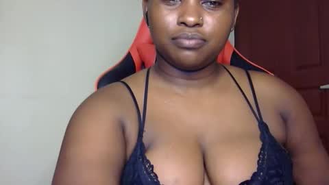 stella online show from 2, 4, 2026