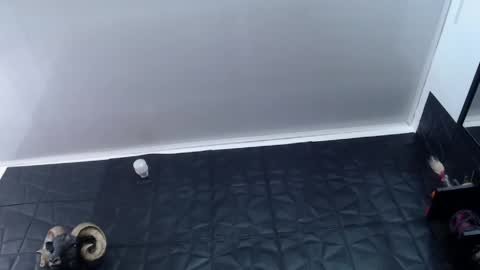 Snapshot of agata_darkness chatting on 13, 5, 2026 Miss Agata online show from 13, 5, 2026