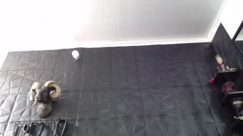 Snapshot of agata_darkness chatting on 25, 5, 2026 Miss Agata online show from 25, 5, 2026