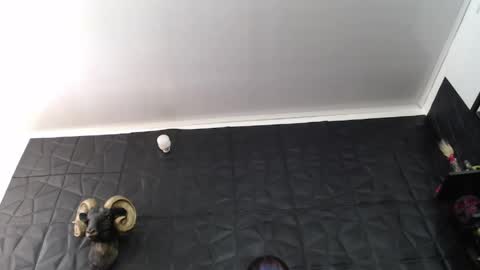 Snapshot of agata_darkness chatting on 4, 6, 2026 Miss Agata online show from 4, 6, 2026