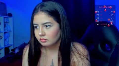 Cat online show from 17, 12, 2025