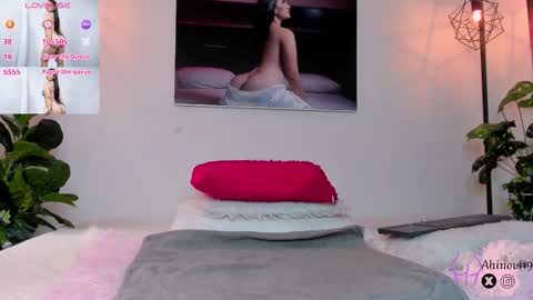 Ahinovi online show from 7, 2, 2026