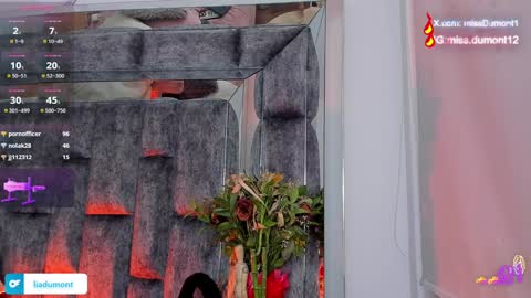 Snapshot of aivadumont chatting on 27, 12, 2024 Queen Dumont online show from 27, 12, 2024