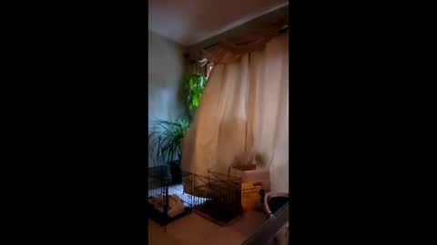 ajiii1313 online show from 3, 4, 2026