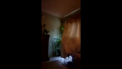 ajiii1313 online show from 4, 4, 2026