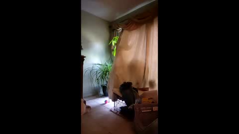 ajiii1313 online show from 10, 4, 2026