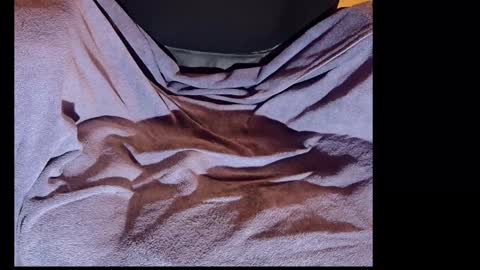 akiwi2 online show from 11, 12, 2024