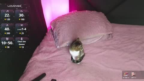 alahia online show from 15, 1, 2025