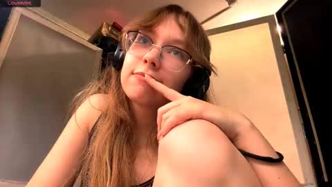 Stella online show from 19, 11, 2025