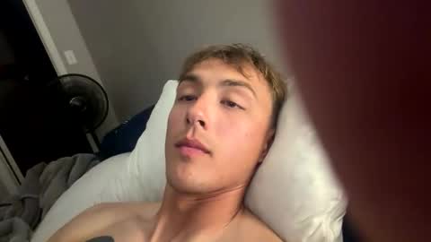 alaskanhorse online show from 18, 2, 2026