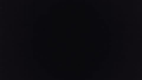 Albert online show from 26, 12, 2024