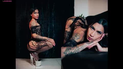 Ale online show from 6, 11, 2025