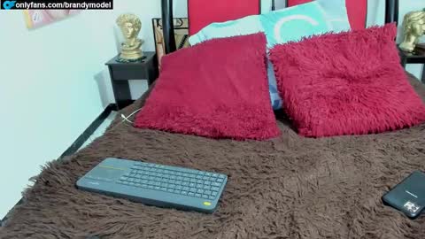 Andres star online show from 23, 12, 2024