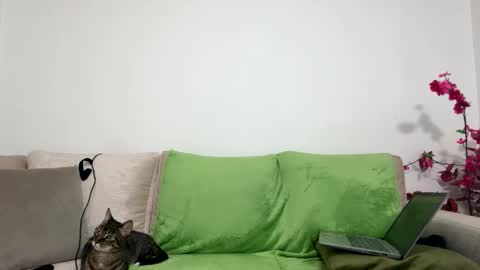 alejo__twinkboy online show from 30, 1, 2025