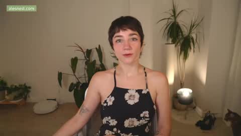 Ale online show from 2, 4, 2026