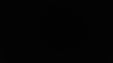 Alex online show from 26, 2, 2026