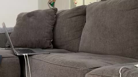 Alex online show from 3, 11, 2025