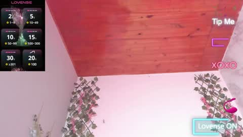 Dani online show from 24, 1, 2025