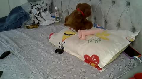 Snapshot of alexa_foxxie chatting on 16, 2, 2025 Alexa online show from 16, 2, 2025