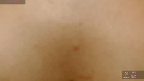   online show from 19, 4, 2026