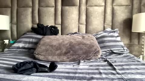 alexander grey online show from 9, 1, 2025