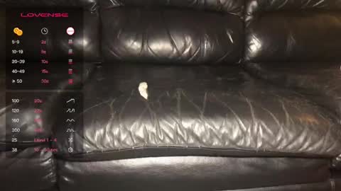 Alex  John online show from 21, 12, 2024