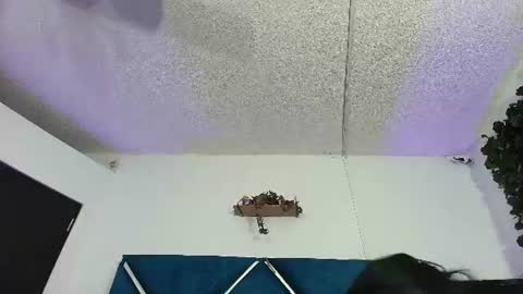 Alexa online show from 13, 6, 2026