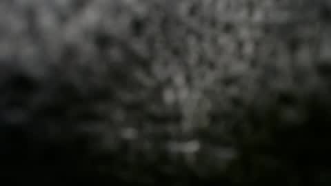 Doggystyle online show from 8, 3, 2025