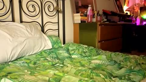 Alex online show from 22, 12, 2024