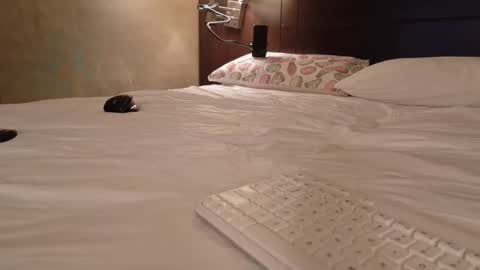 Daddy Girls online show from 15, 2, 2026