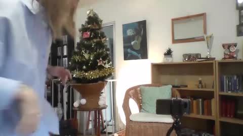 Alice online show from 17, 12, 2024