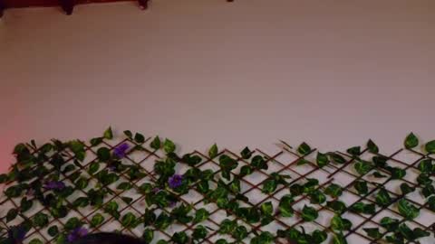 alice_rous21 online show from 23, 10, 2025