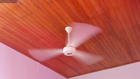  ALICEKIING online show from 16, 12, 2025