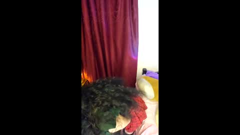 Alicekingdom online show from 8, 2, 2026