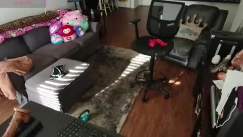 Alice Liddell online show from 21, 3, 2026