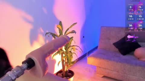 Alicee  online show from 16, 1, 2026