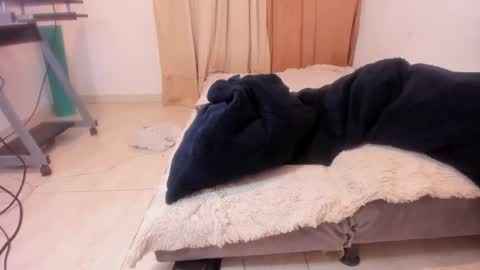 Snapshot of aliciapalmer19 chatting on 7, 2, 2025 Alis 3 independent model 3 online show from 7, 2, 2025