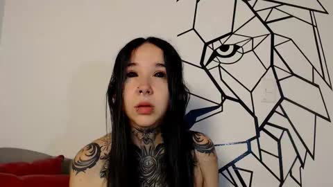    online show from 3, 3, 2026