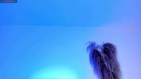 Alice online show from 31, 10, 2025