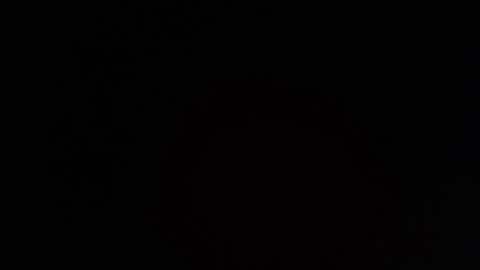     online show from 26, 3, 2026