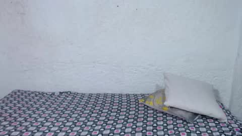 aliss online show from 29, 11, 2025