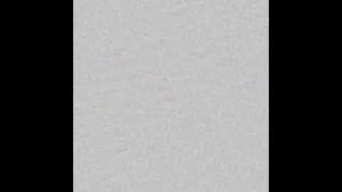 Snapshot of alishapalmer chatting on 4, 10, 2025 online show from 4, 10, 2025